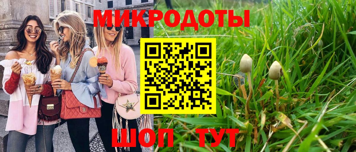 Псилоцибиновые грибы Psilocybe Азов