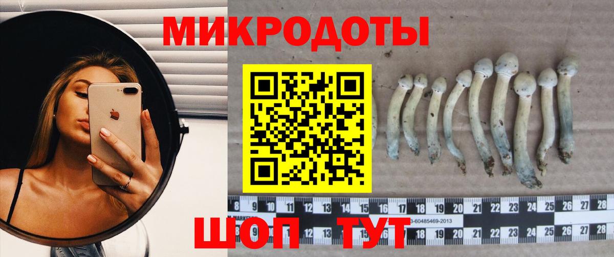 Галлюциногенные грибы Psilocybine cubensis  Вход с VPN  Азов  Галлюциногенные грибы GOLDEN TEACHER 